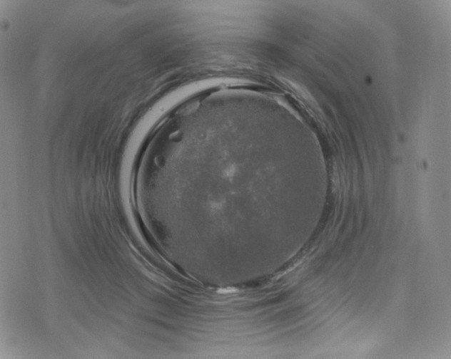 X0000075900409200609151416