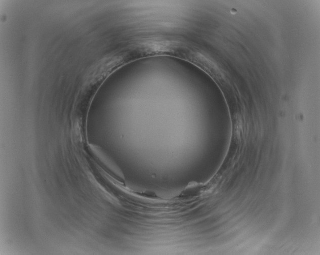 X0000075900410200609151416