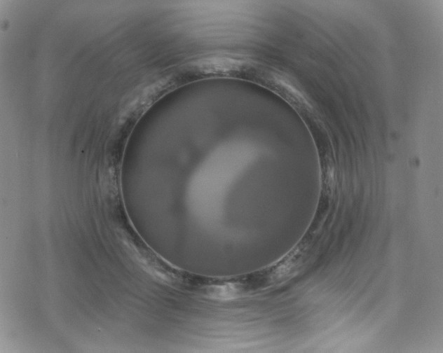 X0000075900411200609151416