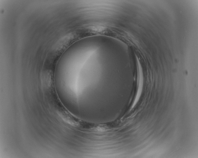 X0000075900412200609151416