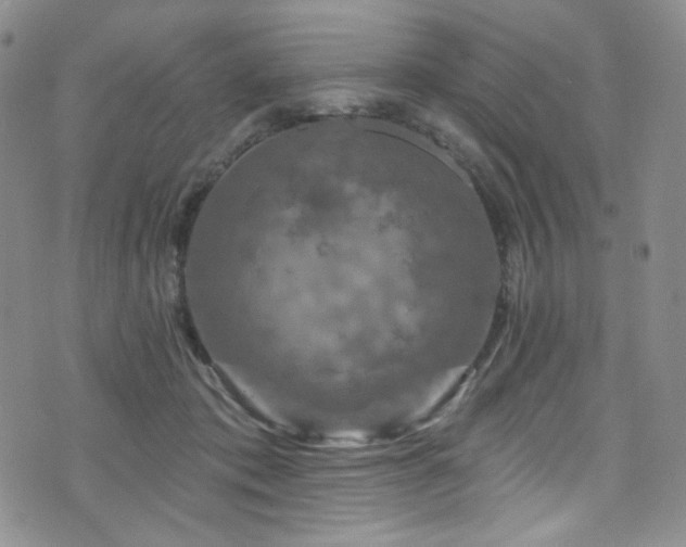 X0000075900413200609151416