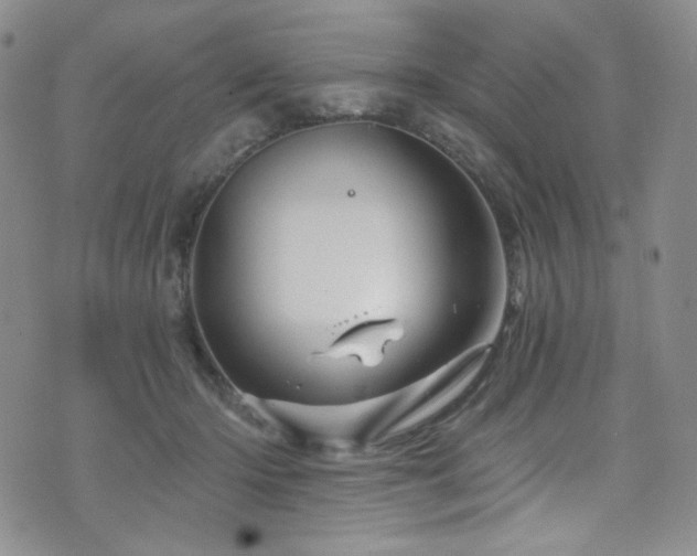 X0000075900414200609151416