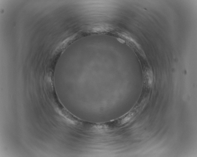 X0000075900415200609151416