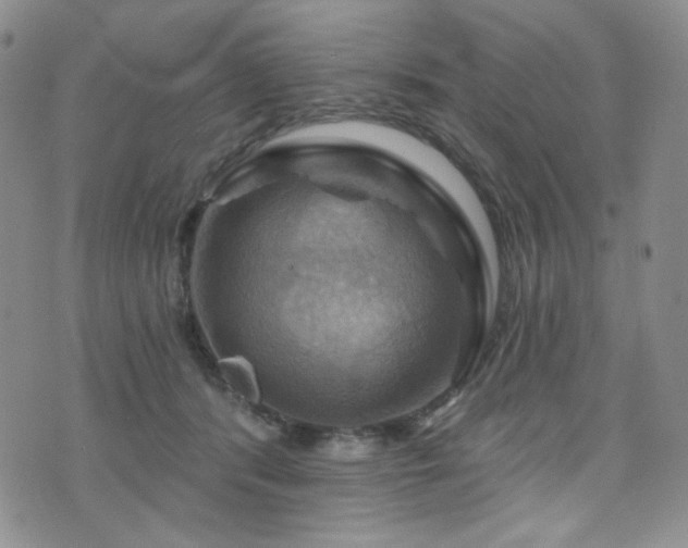 X0000075900416200609151416