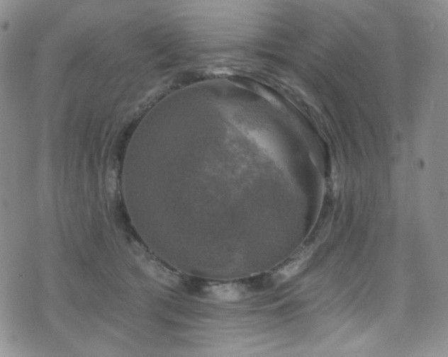 X0000075900417200609151416