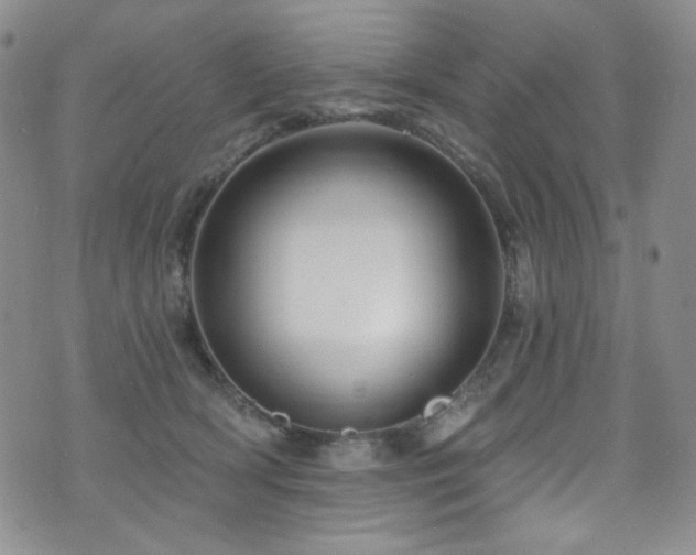 X0000075900418200609151416