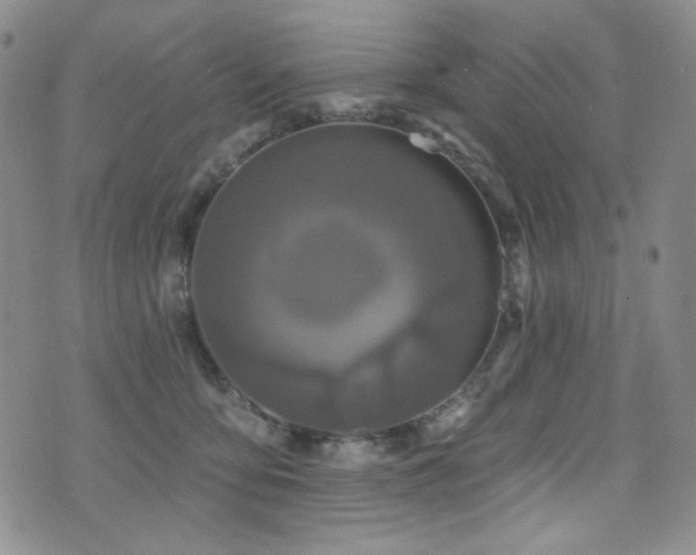 X0000075900419200609151416