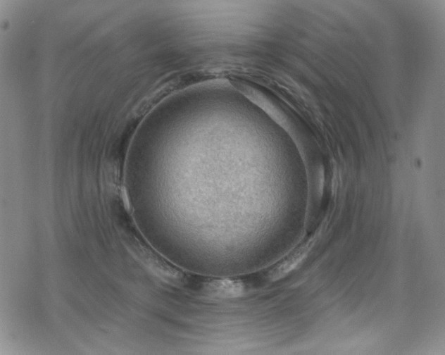 X0000075900421200609151416