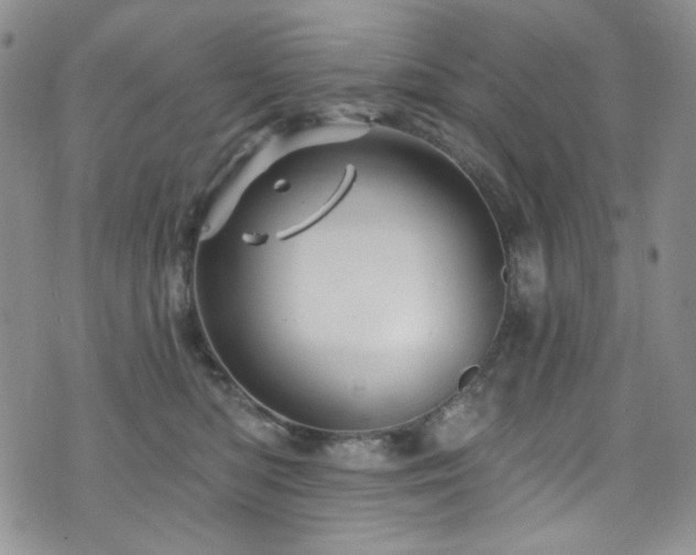 X0000075900422200609151416