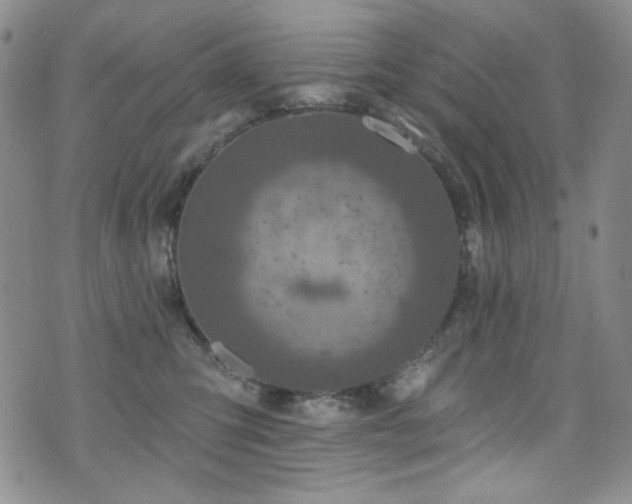 X0000075900423200609151416