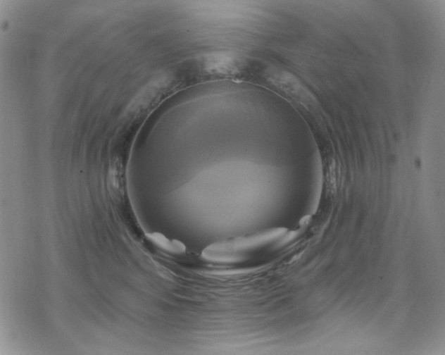 X0000075900424200609151416