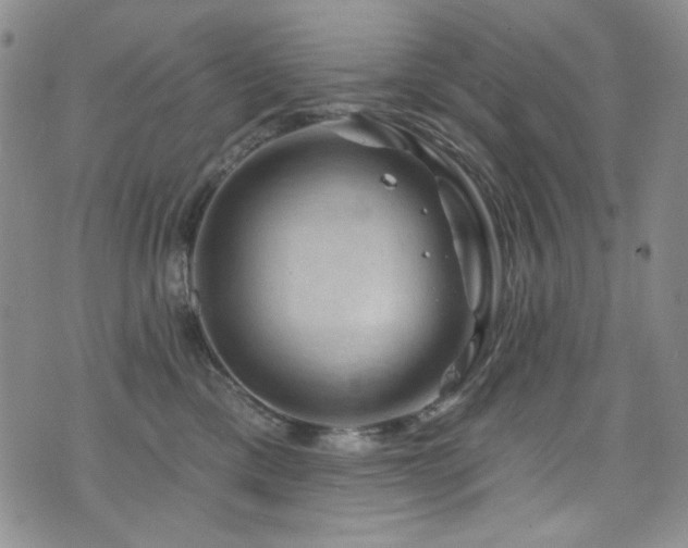 X0000075900425200609151416