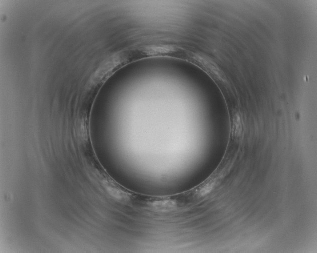 X0000075900426200609151416