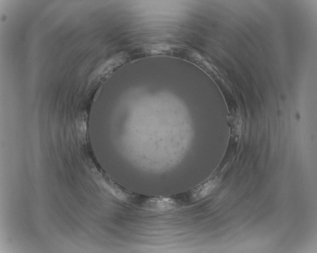 X0000075900427200609151416