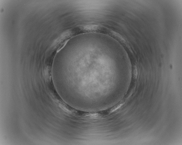 X0000075900428200609151416