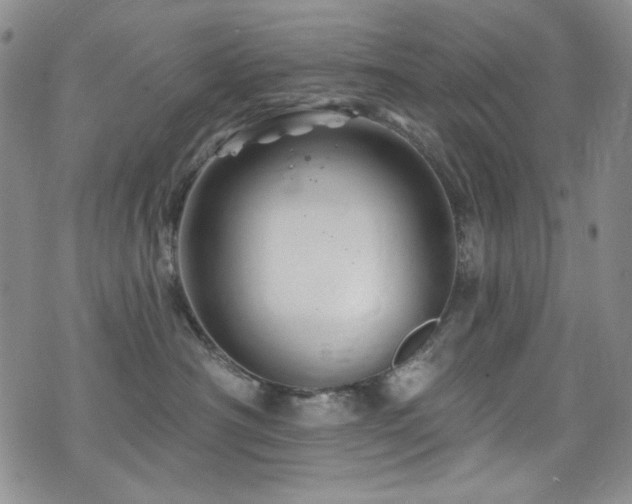 X0000075900430200609151416