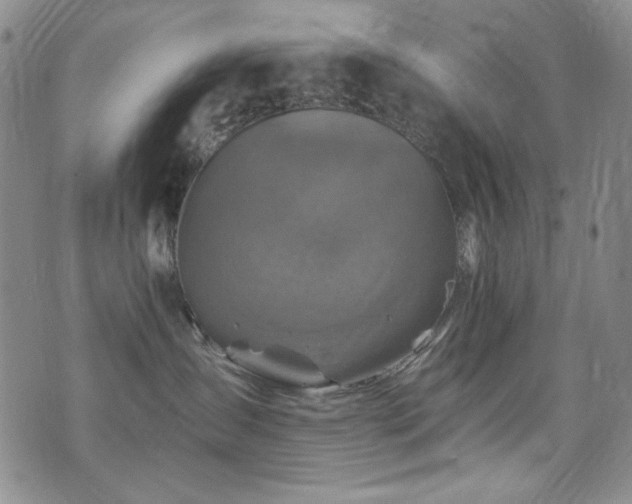 X0000075900431200609151416