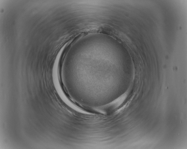 X0000075900432200609151416