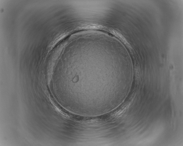 X0000075900433200609151415