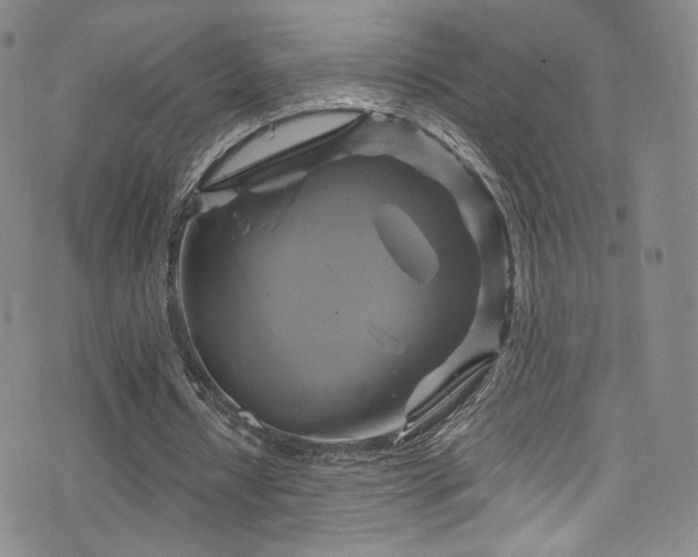 X0000075900434200609151415