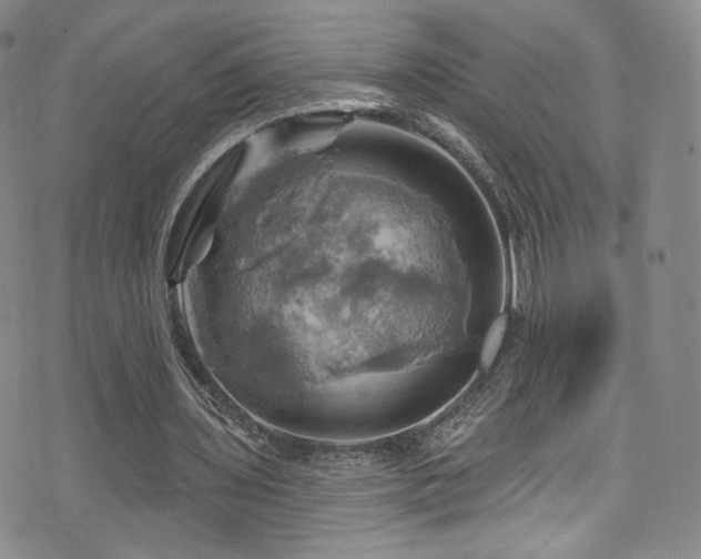 X0000075900435200609151415