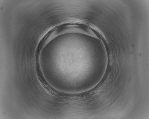 X0000075900436200609151415