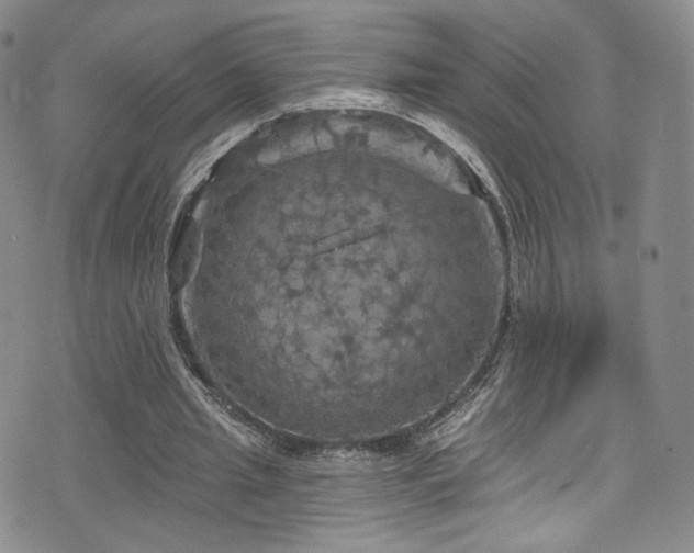 X0000075900437200609151415