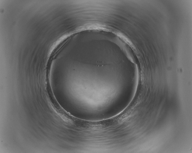 X0000075900438200609151415