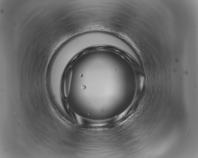 X0000075900439200609151415