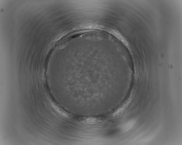 X0000075900441200609151415