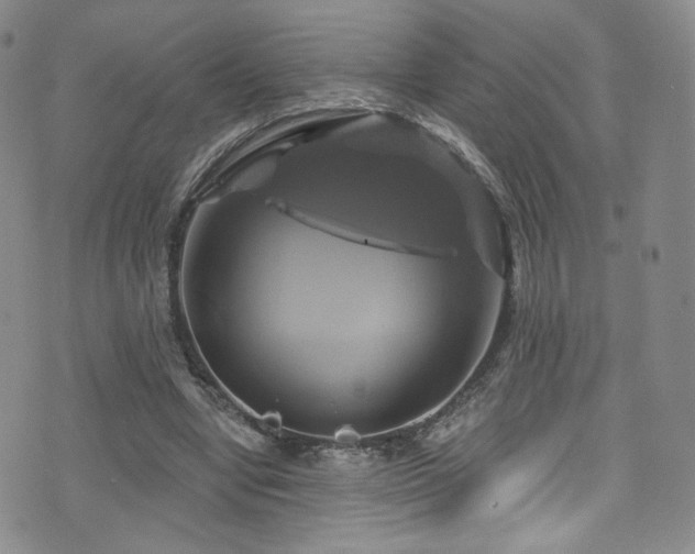 X0000075900442200609151415