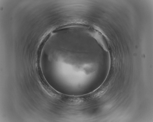 X0000075900443200609151415