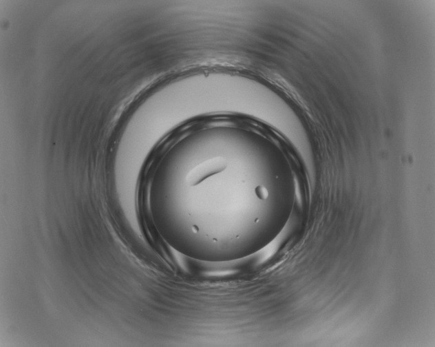 X0000075900444200609151415