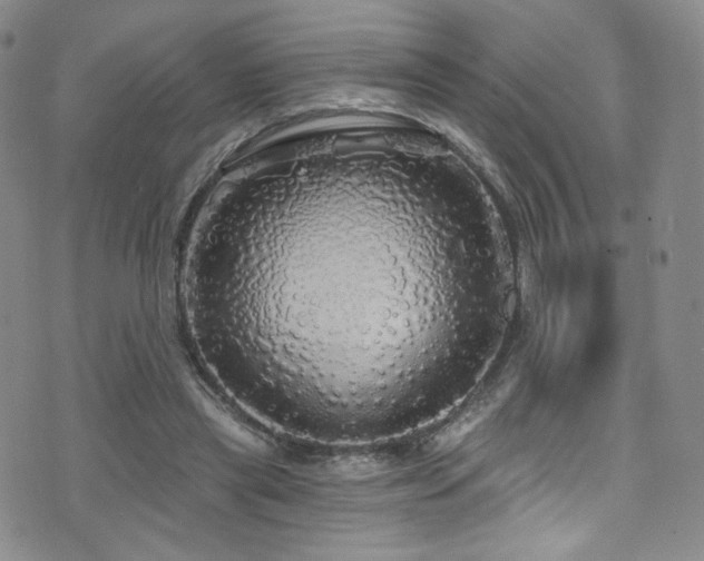 X0000075900445200609151415