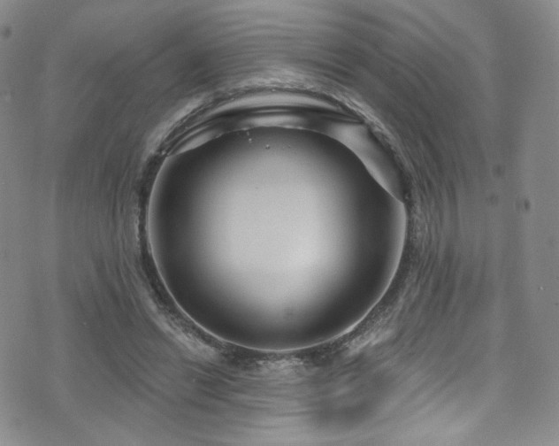 X0000075900446200609151415