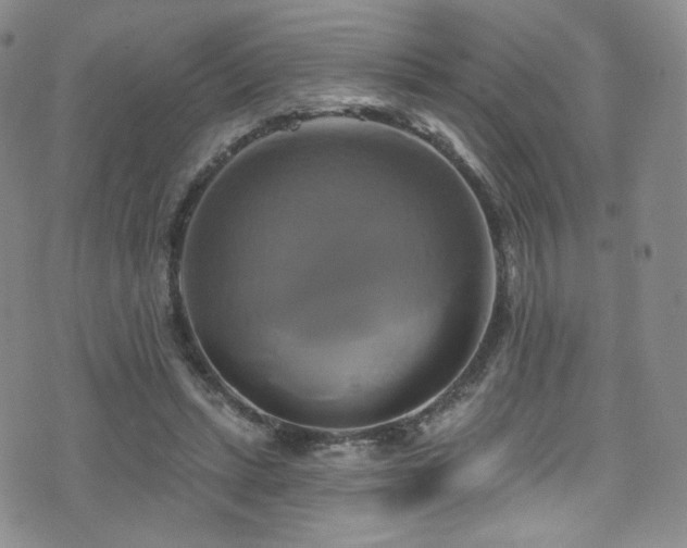 X0000075900447200609151415