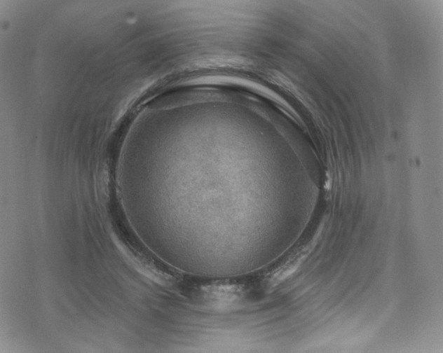 X0000075900448200609151415