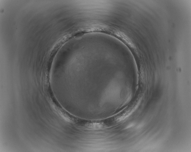 X0000075900449200609151415