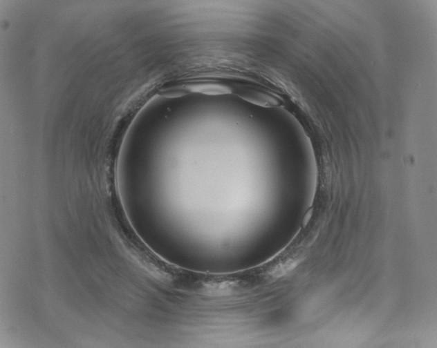 X0000075900450200609151415