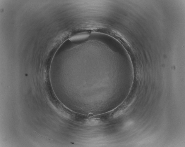 X0000075900451200609151415