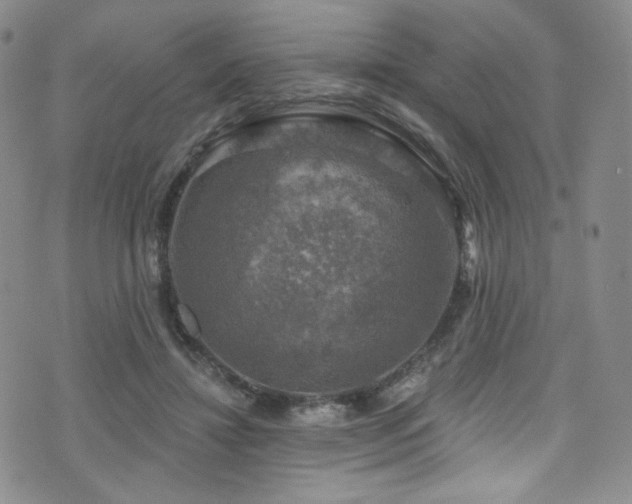 X0000075900452200609151416