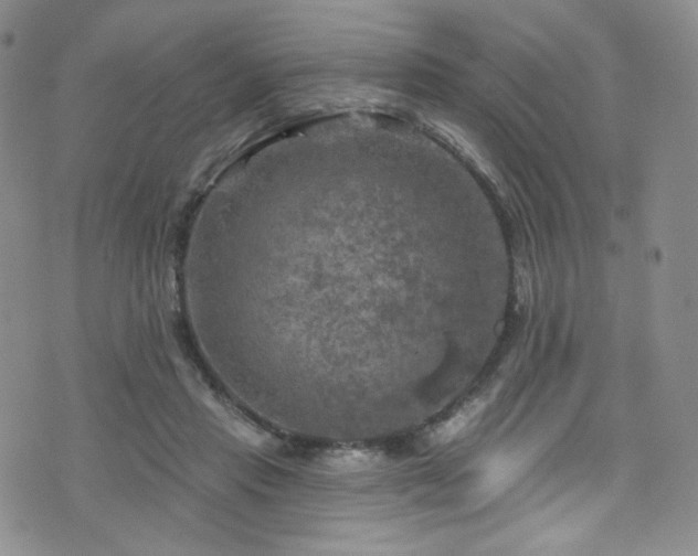 X0000075900453200609151416