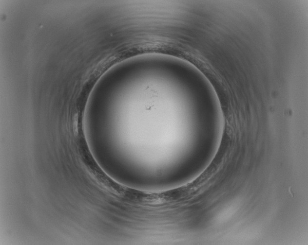 X0000075900454200609151416