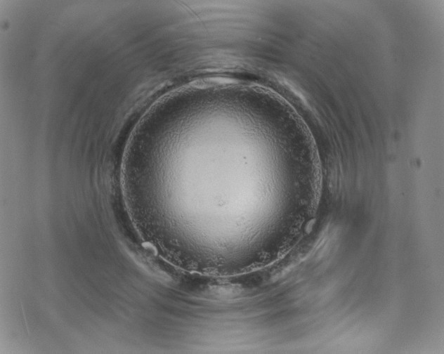 X0000075900455200609151416