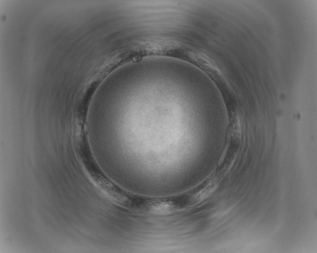 X0000075900456200609151416