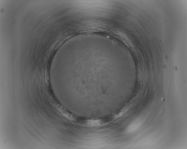 X0000075900457200609151416