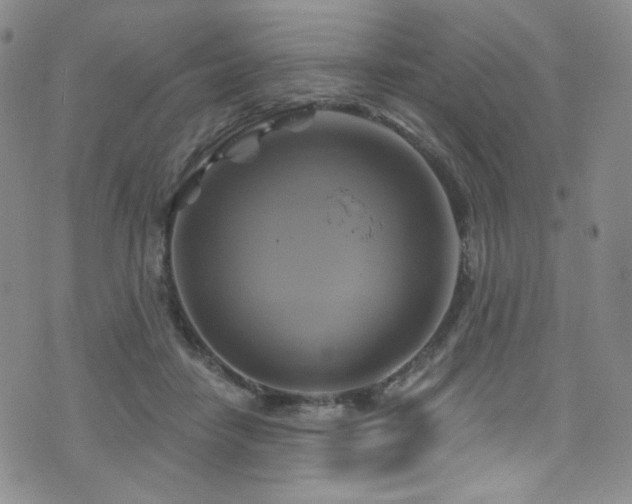 X0000075900458200609151416