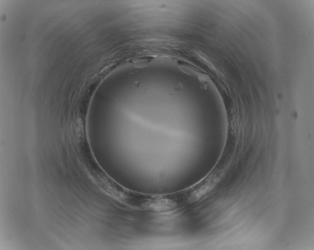 X0000075900459200609151416