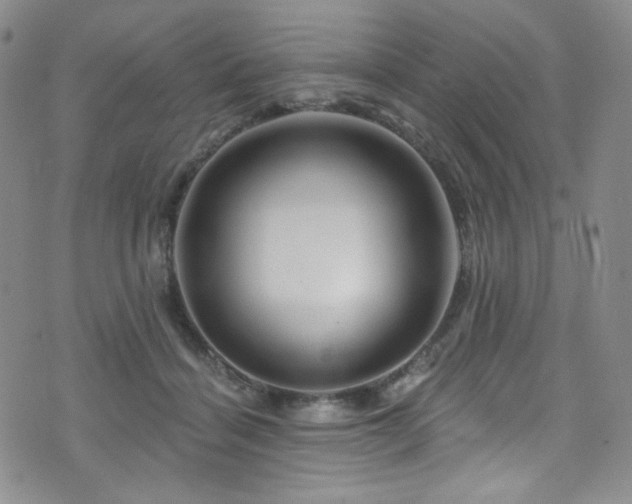 X0000075900460200609151416