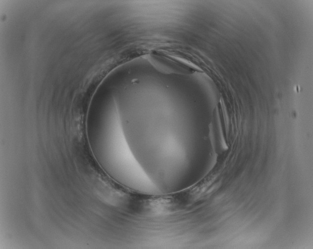 X0000075900462200609151416